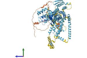 AlphaFold protein structure predicition of Human Recombinant WFS1 Protein, UniprotID O76024