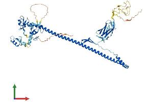AlphaFold protein structure predicition of Mouse Recombinant Trim45 Protein, UniprotID Q6PFY8