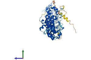 AlphaFold protein structure predicition of Human Recombinant ASB14 Protein, UniprotID A6NK59