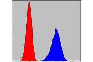 Flow cytometric analysis of PC-12 cells using anti-Pirh2 mAb (blue) and negative control (red). (RCHY1 anticorps)