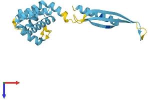 AlphaFold protein structure predicition of Human Recombinant COMMD4 Protein, UniprotID Q9H0A8