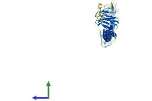 AlphaFold protein structure predicition of Human Recombinant TRIM43 Protein, UniprotID Q96BQ3