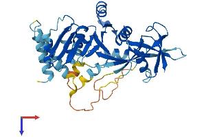 AlphaFold protein structure predicition of Human Recombinant DRG2 Protein, UniprotID P55039