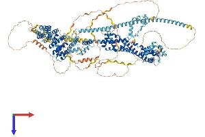 AlphaFold protein structure predicition of Human Recombinant DIAPH1 Protein, UniprotID O60610