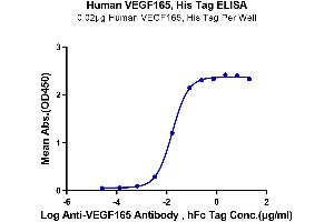 Immobilized Human VEGF165 at 0. (VEGF 165 (AA 27-191) protein (His-Avi Tag))