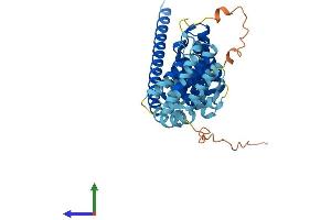 AlphaFold protein structure predicition of Mouse Recombinant Mrps27 Protein, UniprotID Q8BK72