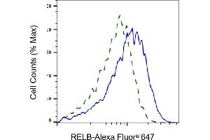 Validation of RELB knockdown using flow cytometry. (Recombinant RELB anticorps)