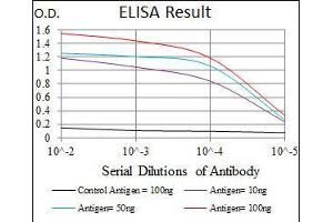 anti-Myeloproliferative Leukemia Virus Oncogene (MPL) antibody