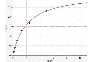 Typical standard curve (PDIA5 Kit ELISA)