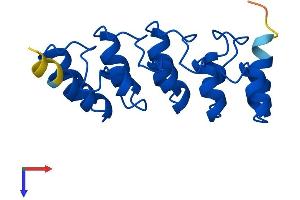 AlphaFold protein structure predicition of Mouse Recombinant Cdkn2d Protein, UniprotID Q60773