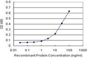 Sandwich ELISA detection sensitivity ranging from 3 ng/mL to 100 ng/mL. (GSTK1 (Humain) Matched Antibody Pair)