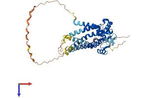 AlphaFold protein structure predicition of Mouse Recombinant Mtch1 Protein, UniprotID Q791T5