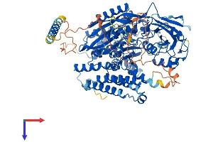 AlphaFold protein structure predicition of Human Recombinant TFR2 Protein, UniprotID Q9UP52