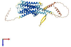 AlphaFold protein structure predicition of Mouse Recombinant Drd2 Protein, UniprotID P61168