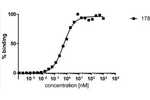 ELISA analysis of human HDAC6 by mouse monoclonal antibody 178.