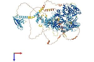 AlphaFold protein structure predicition of Human Recombinant DHX29 Protein, UniprotID Q7Z478