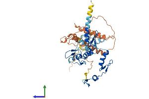 AlphaFold protein structure predicition of Human Recombinant ZNF793 Protein, UniprotID Q6ZN11