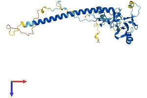 AlphaFold protein structure predicition of Mouse Recombinant Nosip Protein, UniprotID Q9D6T0