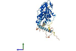 AlphaFold protein structure predicition of Mouse Recombinant Pcyt2 Protein, UniprotID Q922E4