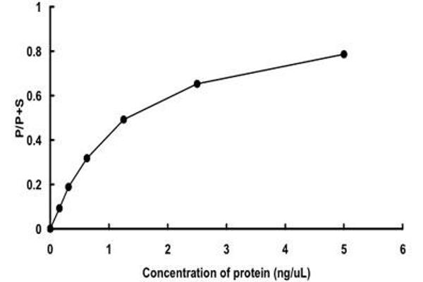 PLK3 Protein (AA 58-340) (GST tag)