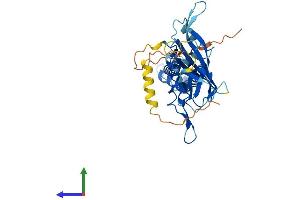 AlphaFold protein structure predicition of Mouse Recombinant Kcnj10 Protein, UniprotID Q9JM63
