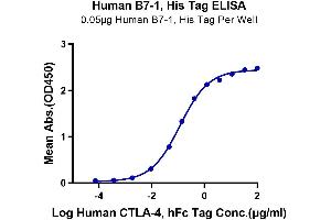 Immobilized Human B7-1, His Tag at 0. (CD80 Protein (CD80) (AA 35-242) (His-Avi Tag))