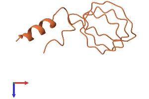 AlphaFold protein structure predicition of Human Recombinant KRTAP21-2 Protein, UniprotID Q3LI59
