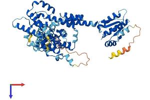 AlphaFold protein structure predicition of Human Recombinant SLC26A11 Protein, UniprotID Q86WA9