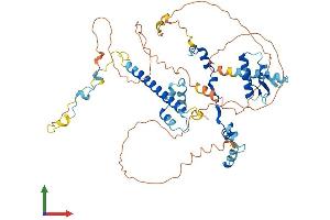 AlphaFold protein structure predicition of Mouse Recombinant Rad21l1 Protein, UniprotID A2AU37