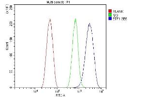 Flow Cytometry analysis of HEPA1-6 cells using anti-eRF1/ETF1 antibody (ABIN7602626). (ETF1 anticorps  (AA 9-342))