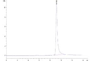 The purity of Monkeypox virus L1R is greater than 95 % as determined by SEC-HPLC.
