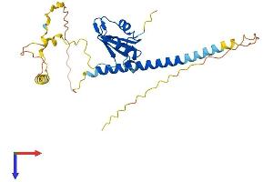 AlphaFold protein structure predicition of Human Recombinant RALYL Protein, UniprotID Q86SE5