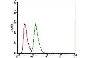 Flow cytometric analysis of A549 cells using ABCG5 mouse mAb (green) and negative control (red).