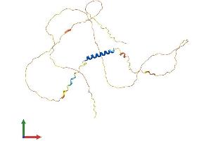AlphaFold protein structure predicition of Human Recombinant JSRP1 Protein, UniprotID Q96MG2