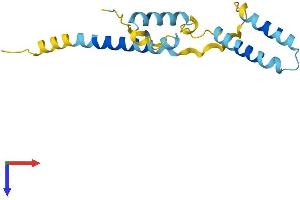 AlphaFold protein structure predicition of Mouse Recombinant Hes2 Protein, UniprotID O54792