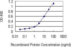 Detection limit for recombinant GST tagged STX8 is 0. (STX8 anticorps  (AA 1-236))