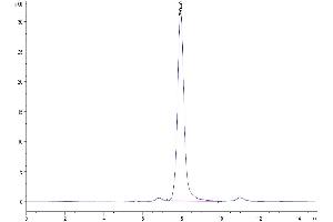 The purity of Human DLL1/Delta1 is greater than 95 % as determined by SEC-HPLC. (DLL1 Protein (AA 18-540) (His tag))