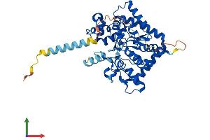 AlphaFold protein structure predicition of Human Recombinant GAL3ST1 Protein, UniprotID Q99999