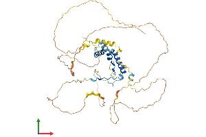 AlphaFold protein structure predicition of Mouse Recombinant Sox8 Protein, UniprotID Q04886