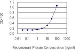 Detection limit for recombinant GST tagged DTNBP1 is 1 ng/ml as a capture antibody.