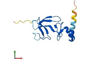 AlphaFold protein structure predicition of Mouse Recombinant Cdpf1 Protein, UniprotID Q8R3A2