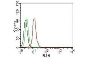 Flow Cytometry testing of Jurkat cells. (Cyclin D1 anticorps)