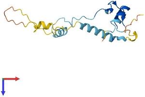 AlphaFold protein structure predicition of Human Recombinant ZNHIT1 Protein, UniprotID O43257