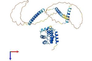 AlphaFold protein structure predicition of Mouse Recombinant Cep44 Protein, UniprotID Q5HZK1