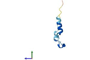 AlphaFold protein structure predicition of Mouse Recombinant Tmsb4x Protein, UniprotID P20065