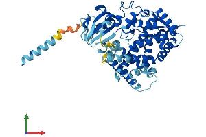 AlphaFold protein structure predicition of Mouse Recombinant Cyp20a1 Protein, UniprotID Q8BKE6