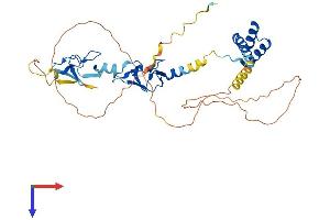 AlphaFold protein structure predicition of Mouse Recombinant Lhx4 Protein, UniprotID P53776