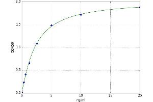 A typical standard curve (IGFBP2 Kit ELISA)