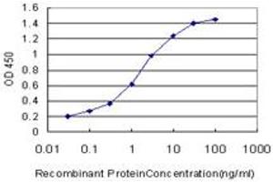 Detection limit for recombinant GST tagged RAB7B is approximately 0. (RAB7B anticorps  (AA 100-199))