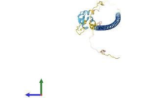 AlphaFold protein structure predicition of Human Recombinant ZBED3 Protein, UniprotID Q96IU2